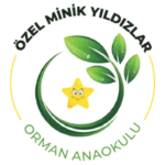 orman_okulu.webp